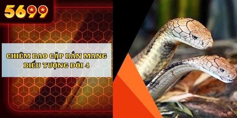 Chiêm bao cặp rắn mang biểu tượng đôi 4