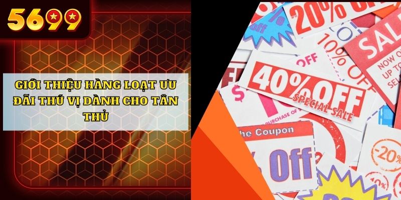 Giới thiệu hàng loạt ưu đãi thú vị dành cho tân thủ